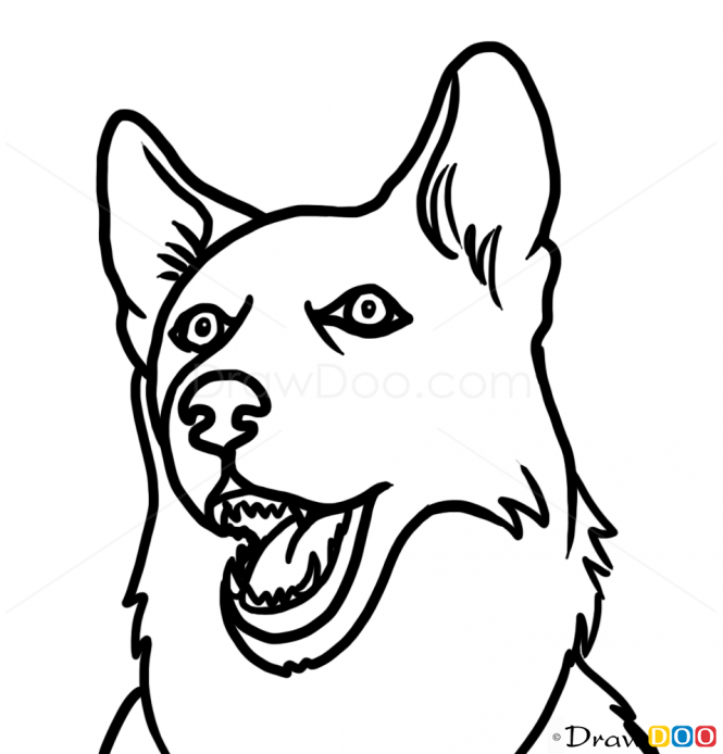 665x694 How To Draw Husky!! Step - Husky Face Drawing