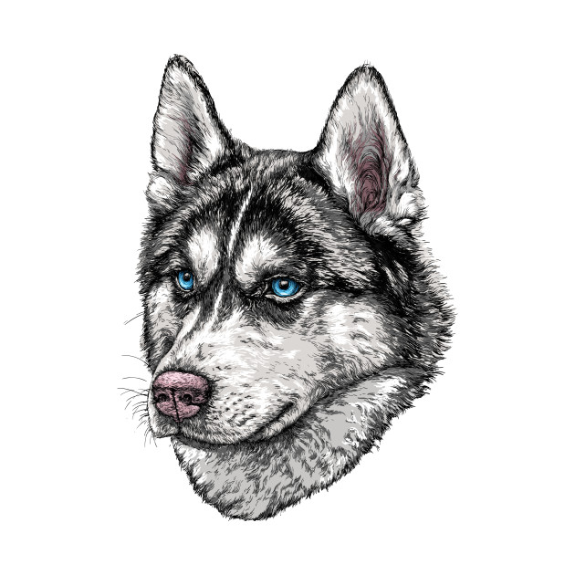 630x630 Husky Face Shirt - Husky Face Drawing