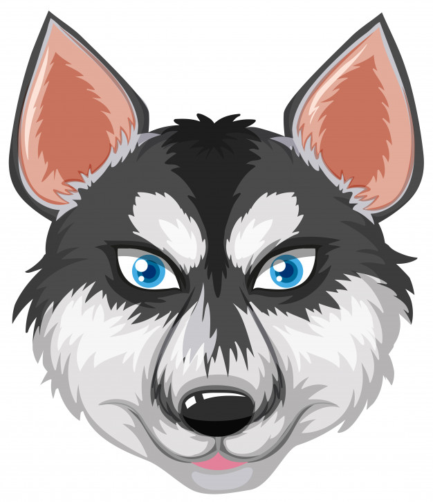 626x725 Husky Vectors, Photos And Free Download - Husky Face Drawing