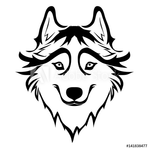 Husky Face Drawing at PaintingValley.com | Explore collection of Husky ...