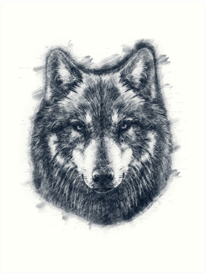 413x549 Wolf Face Drawing Art Prints - Husky Face Drawing
