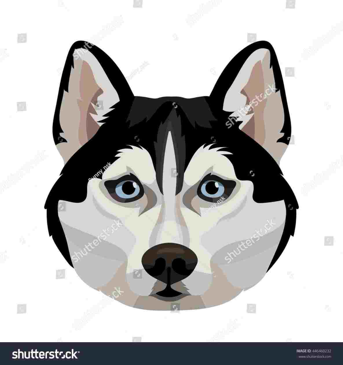 1185x1264 Face Husky Face Drawing To Draw A Cute Puppy Step - Husky Face Drawing