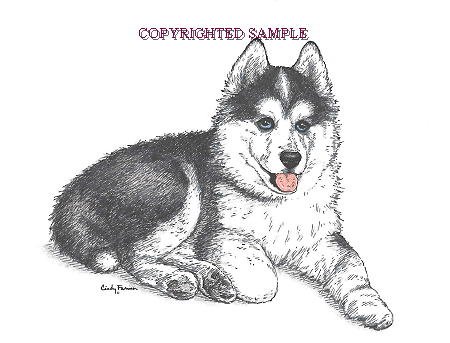 450x343 Siberian Husky Puppy - Husky Puppy Drawing