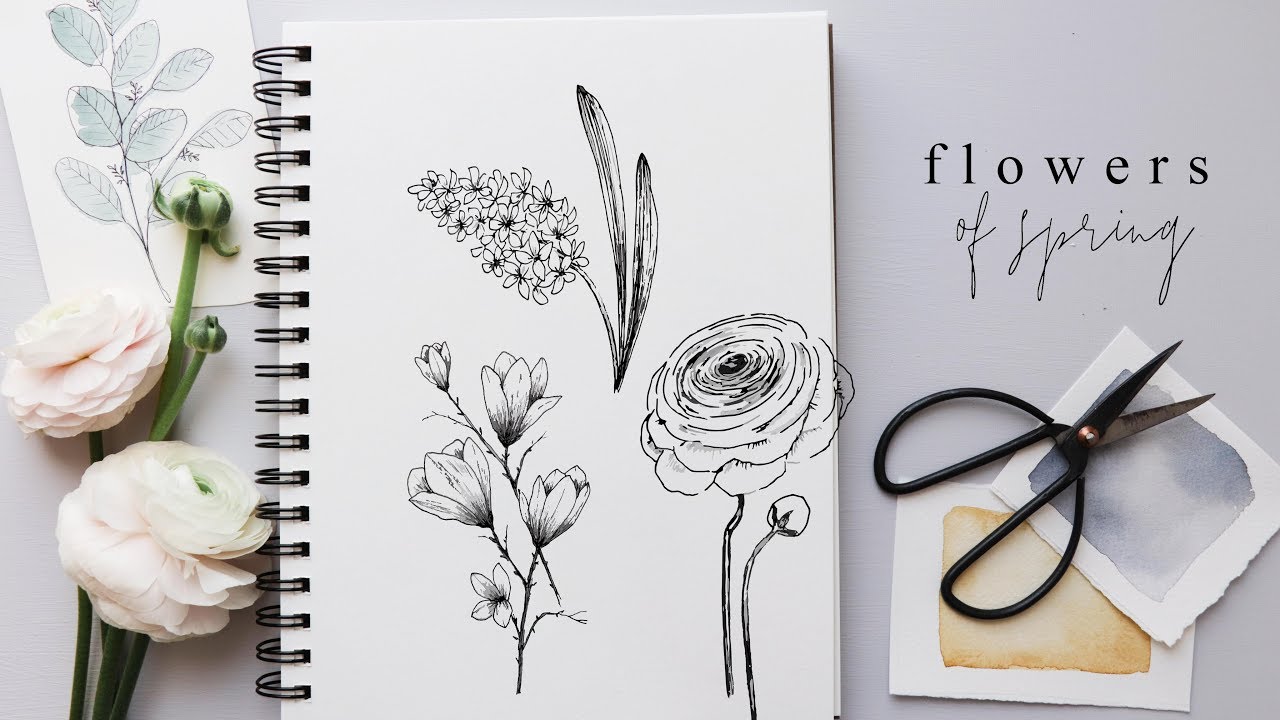 1280x720 How To Draw Flowers Step - Hyacinth Drawing