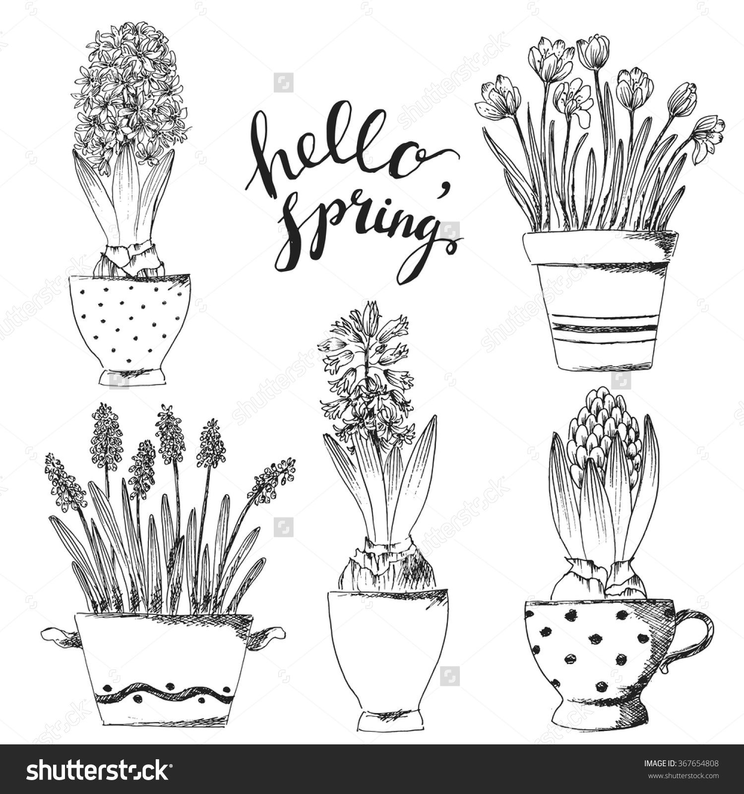 1500x1600 crocus drawing hyacinth for free download - Hyacinth Drawing