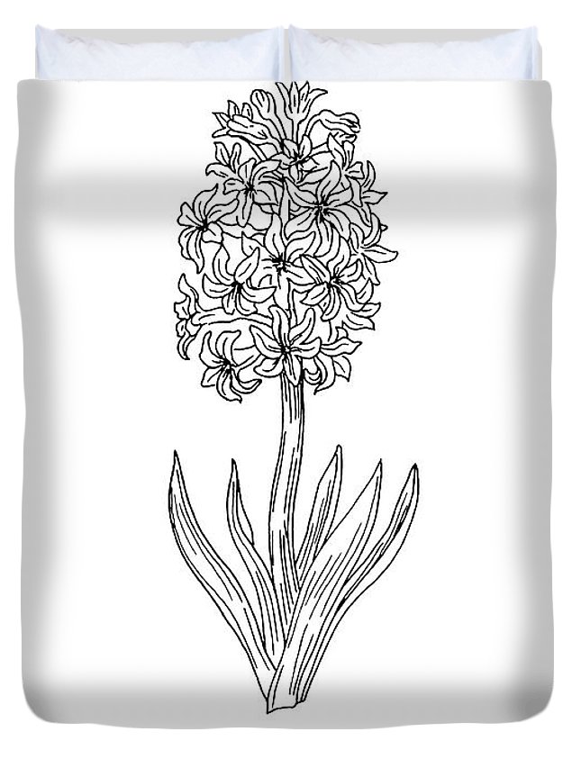 645x853 Hyacinth Flower Botanical Drawing Black And White Duvet Cover - Hyacinth Drawing