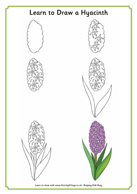 460x650 Learn To Draw A Hyacinth Drawings In Drawings, Learn - Hyacinth Drawing