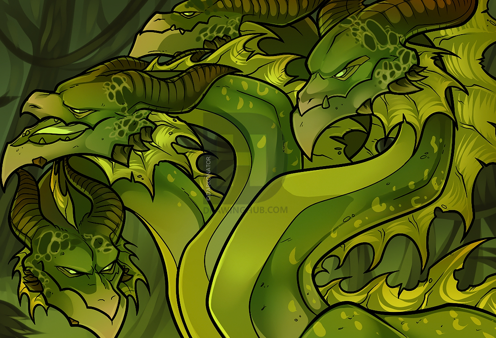1000x682 how to draw a hydra, hydra dragon, step - Hydra Dragon Drawing