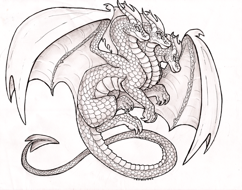 Hydra Dragon Drawing at Explore collection of