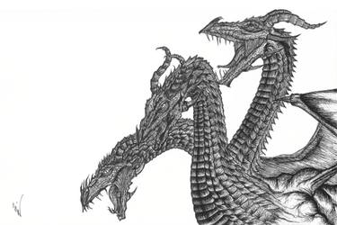 375x250 the hydra drawing - Hydra Dragon Drawing