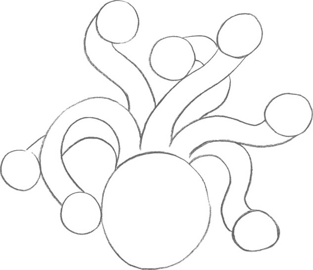 633x547 Hydra - Hydra Drawing