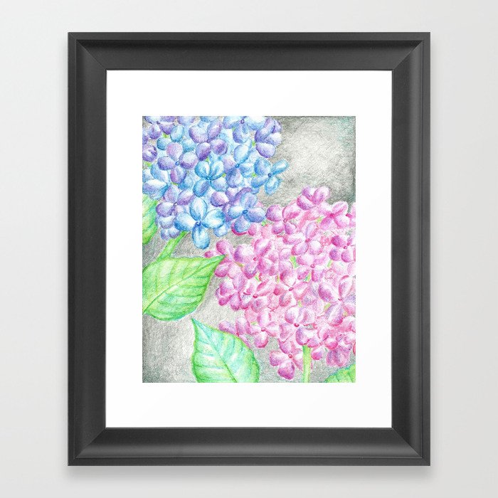 700x700 flower drawing, watercolor painting, hydrangea framed art print - Hydrangea Flower Drawing
