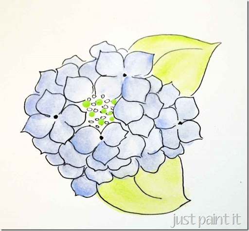 512x475 paint hydrangea - Hydrangea Flower Drawing