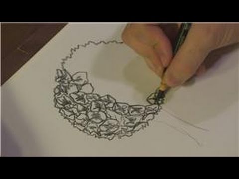 480x360 Drawing Plants Flowers How To Draw Hydrangeas - Hydrangea Flower Drawing