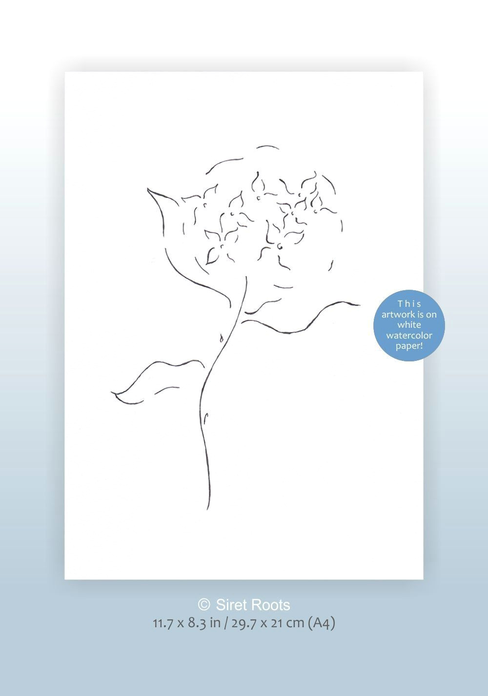 1000x1427 drawing minimalist flowers original ink drawing minimalist flower - Hydrangea Line Drawing