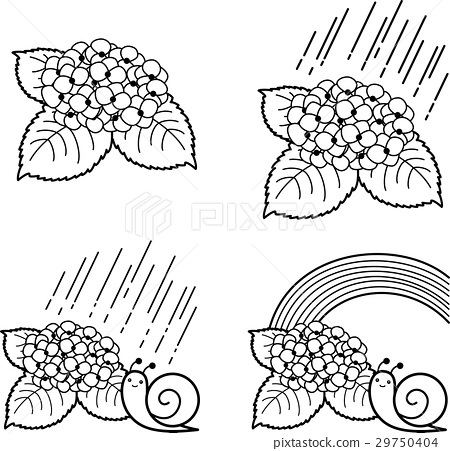 450x451 Hydrangea Pattern Black And White Line Drawing Coloring Rainy - Hydrangea Line Drawing
