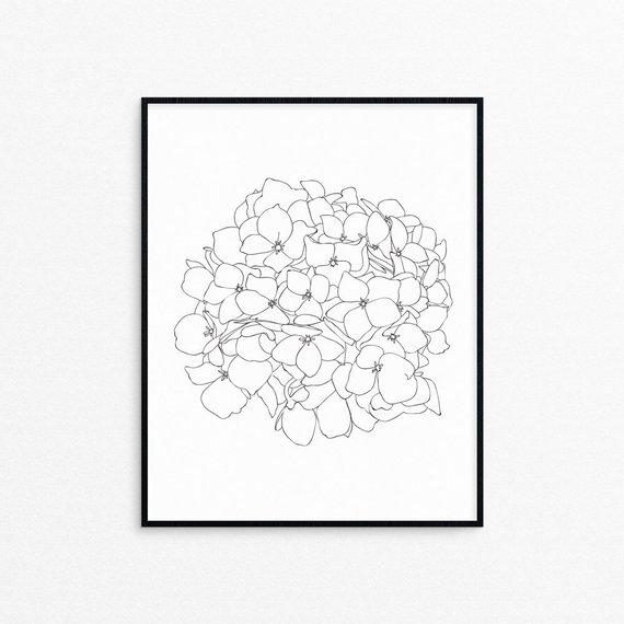 570x570 Hydrangea Flower Line Art Printprintablewall Decorlack And Etsy - Hydrangea Line Drawing