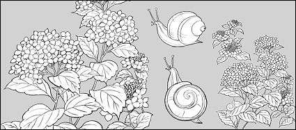 425x187 Vector Line Drawing Plants And Flowers Of Japan - Hydrangea Line Drawing