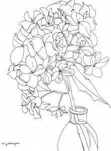 221x300 Hydrangea - Hydrangea Line Drawing