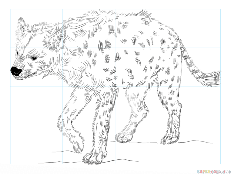 762x575 Hyena Drawing For Free Download - Hyena Drawing