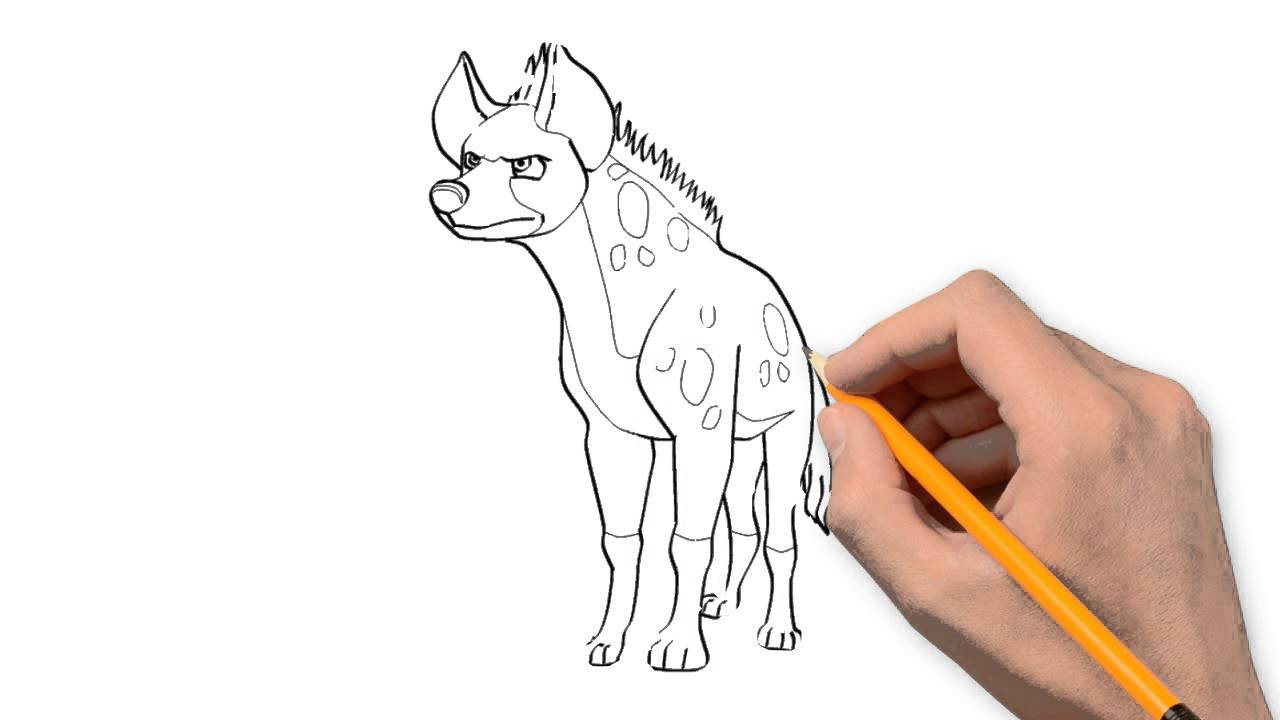 1280x720 Hyena Animals Pencil To Draw Step - Hyena Drawing