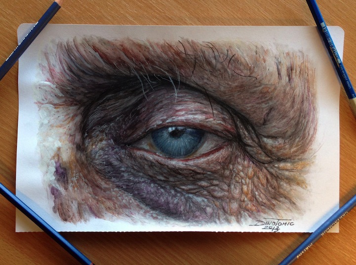 721x537 Hyperrealistic Color Pencil Drawings Of Eyes - Hyper Realistic Eye Drawing