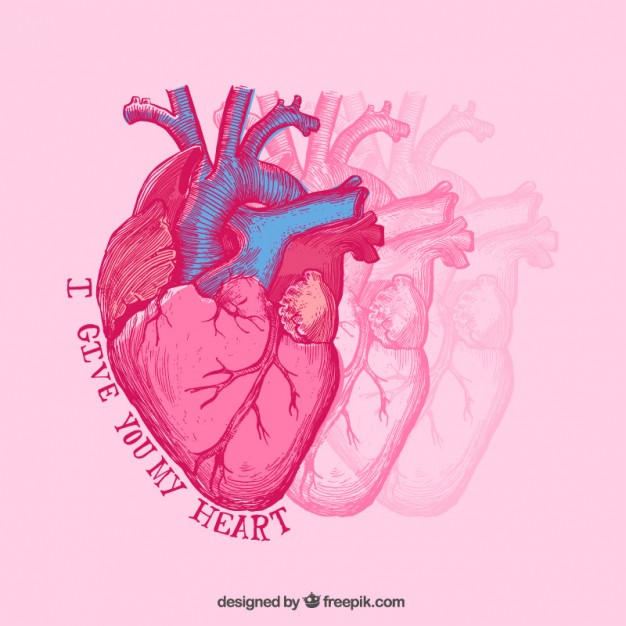 626x626 I Give You My Heart Vector Free Download - I Give You My Heart Drawing