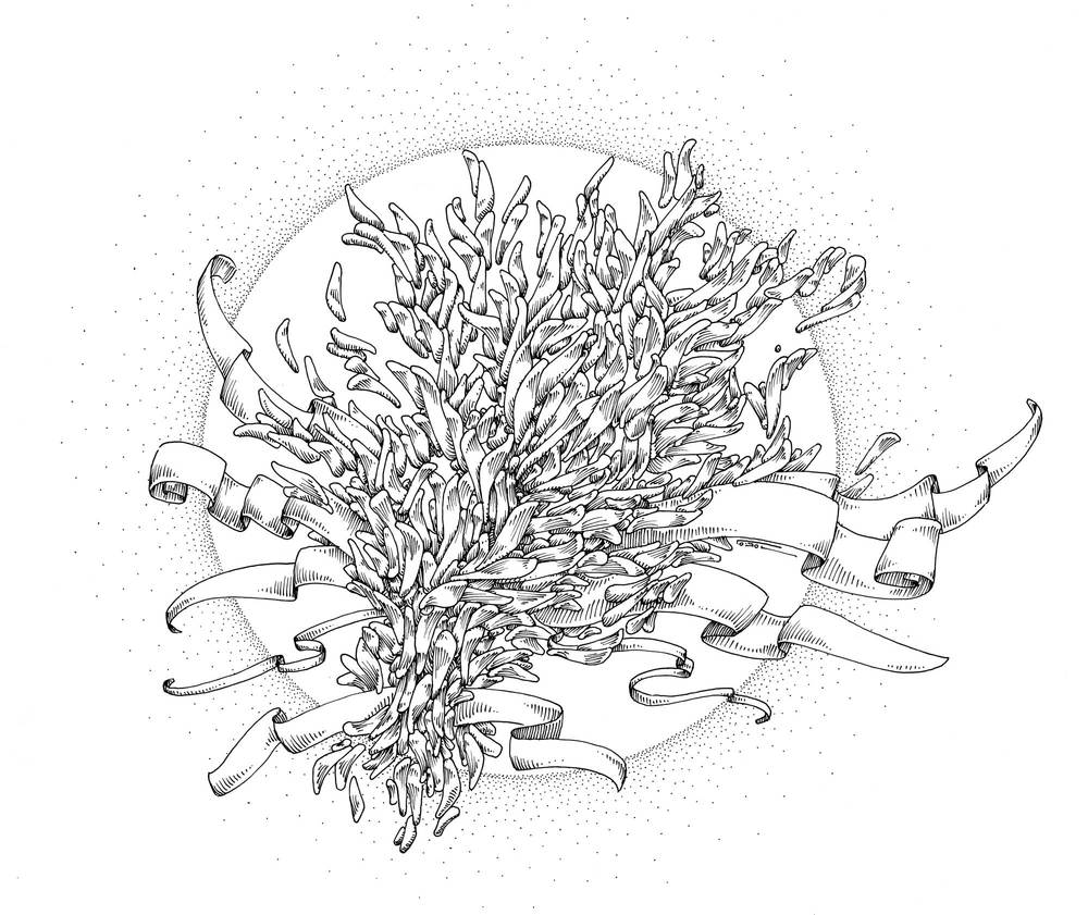 1000x841 I Like Drawing Peter Draws - I Like Drawing