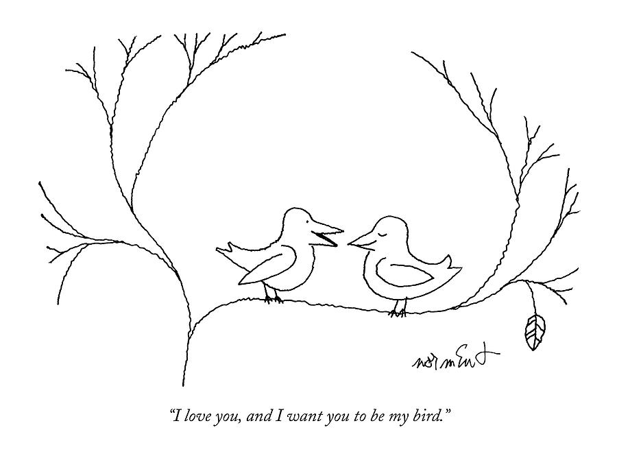 900x665 i love you, and i want you to be my bird drawing - I Love U Drawings