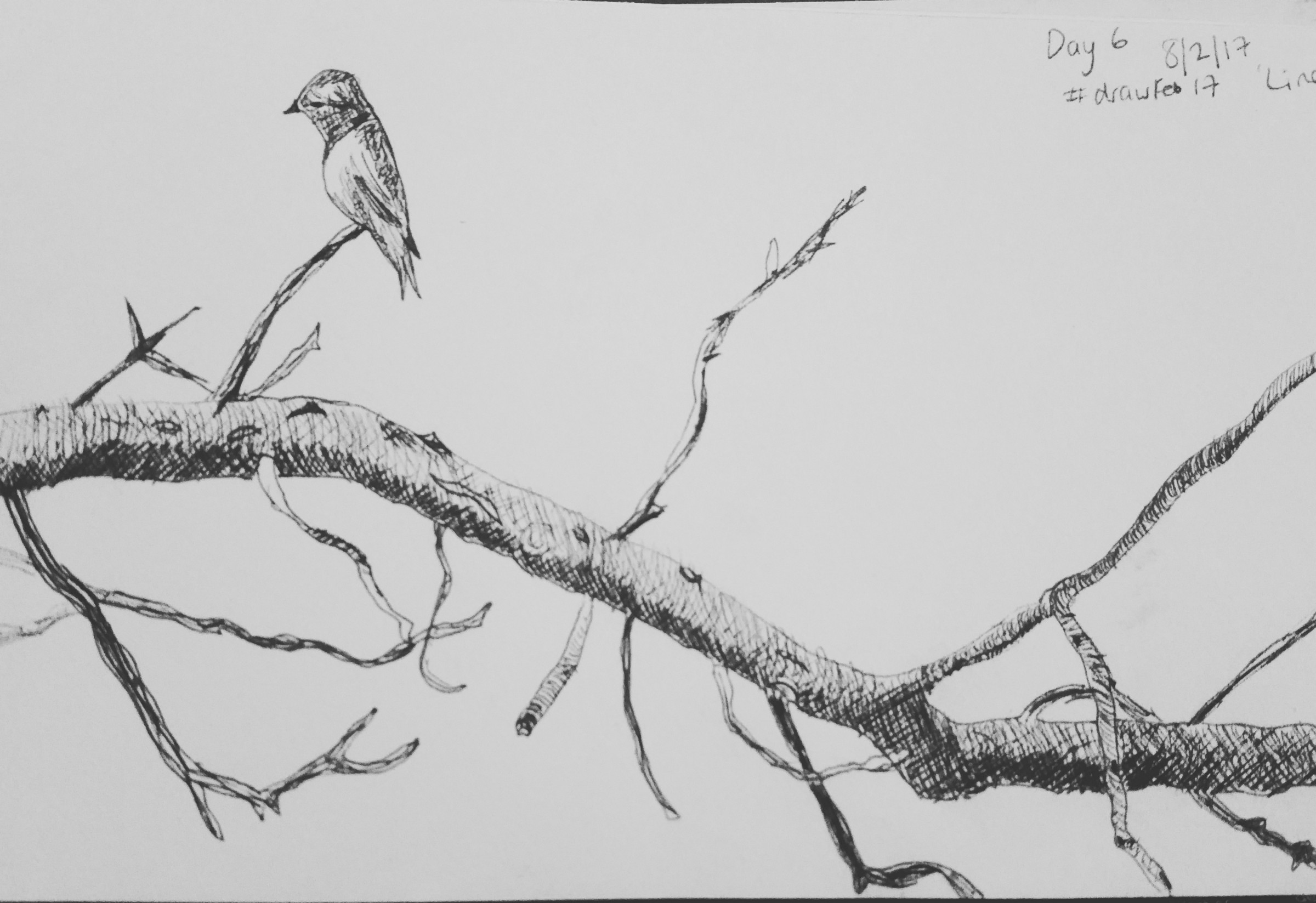 2400x1647 how taking part in a drawing challenge can help with depression - I Need Help Drawing