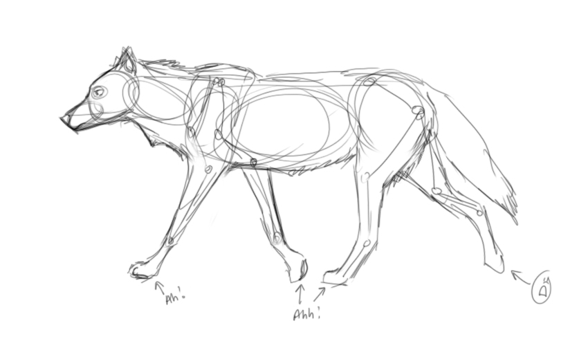850x490 drawing help wolf for free download - I Need Help Drawing