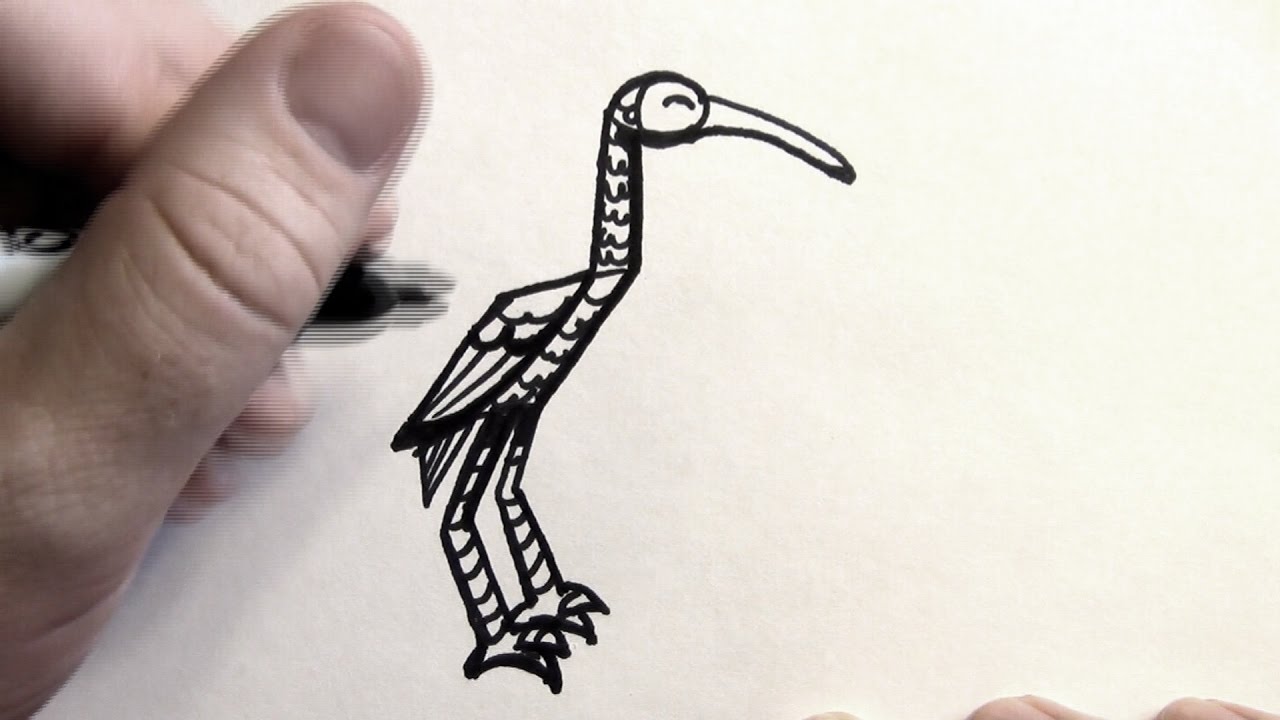 1280x720 how to draw an ibis - Ibis Drawing