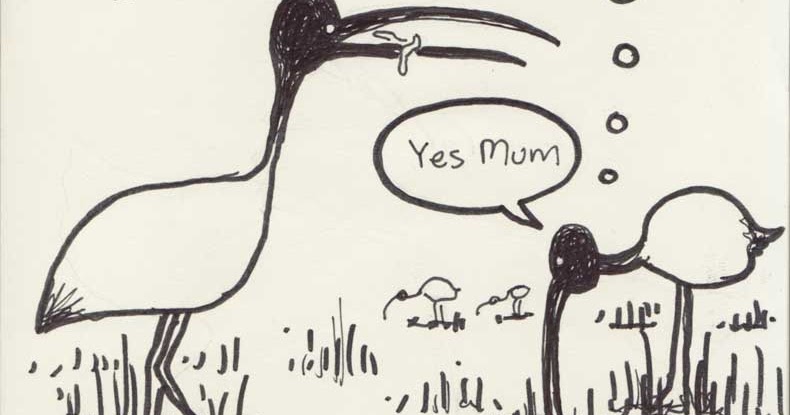 790x415 joel tarling's fieldnotes weekly drawing ibis infestation - Ibis Drawing