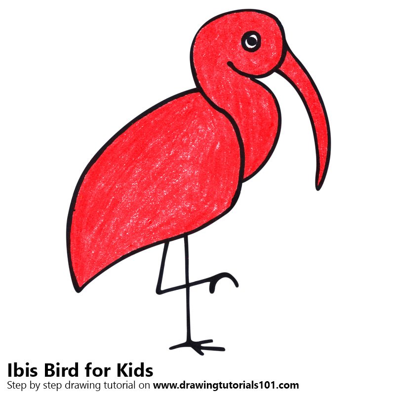 ibis paint sketch
