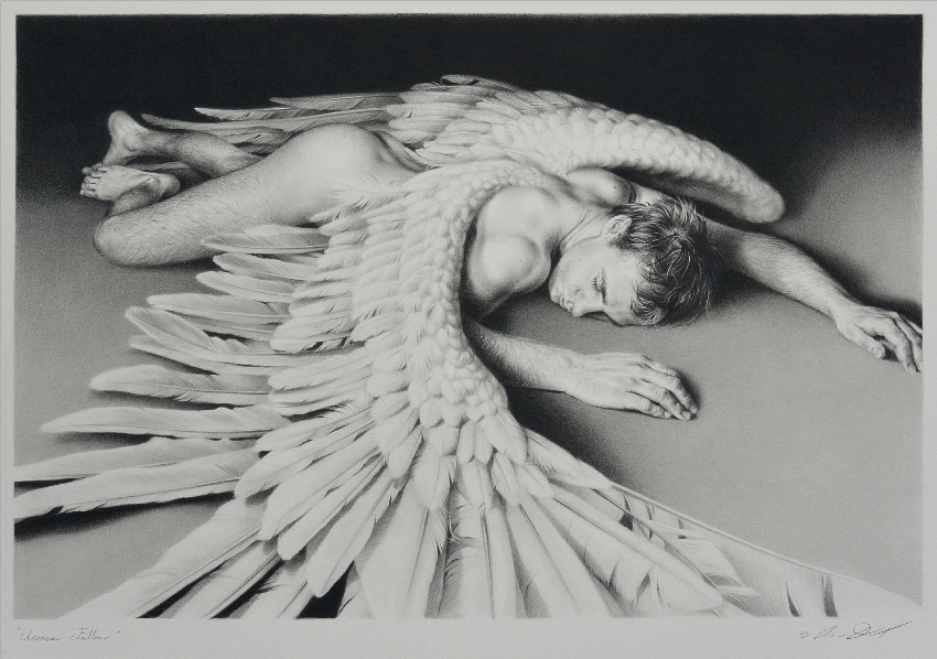 850x598 Icarus Fallen, Contemporary Wildlife Art - Icarus Drawing