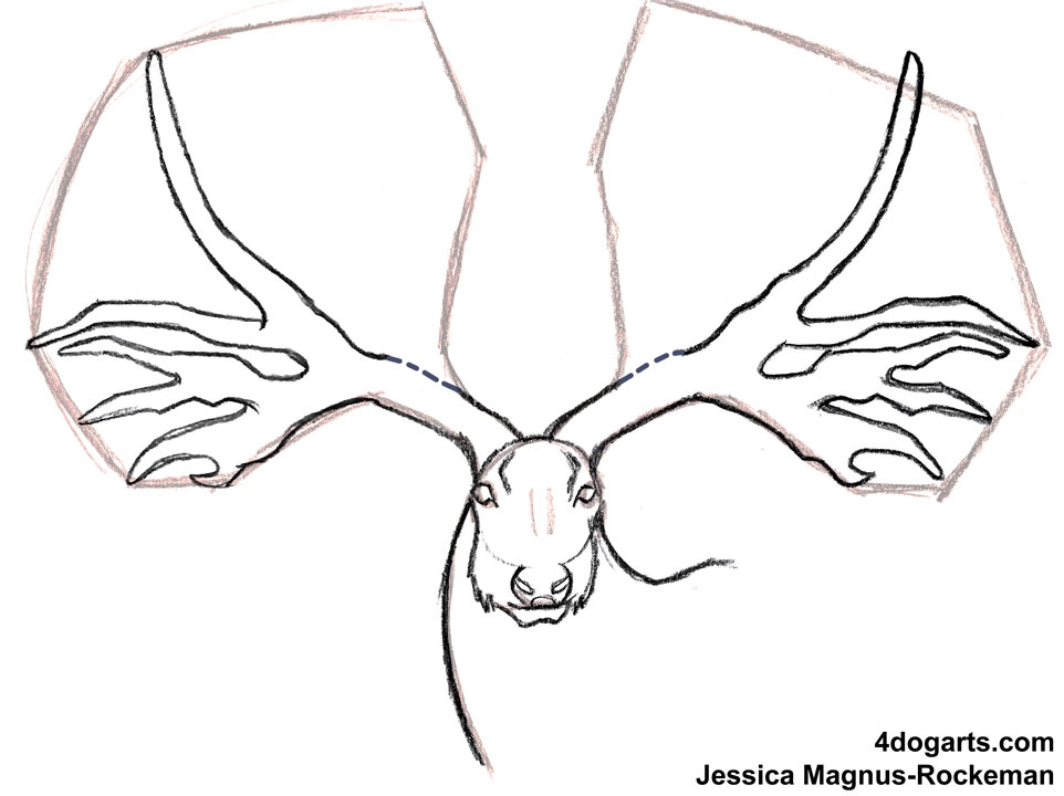 962x720 How To Draw Eucladoceros Dicranios, Or, Ice Age Deer If You're - Ice Age Drawing