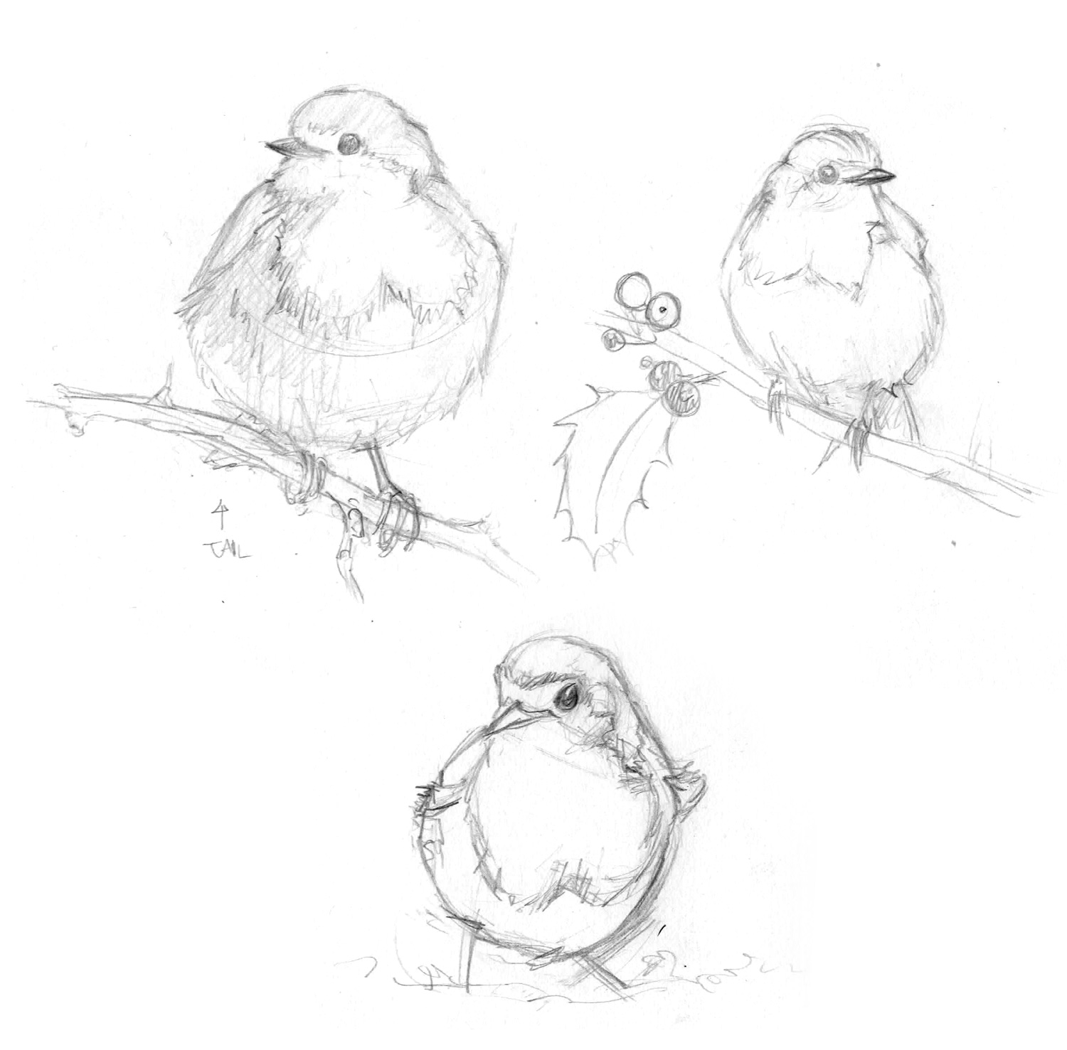 1500x1477 Ice Cream Pencil Drawing - Ice Cream Pencil Drawing