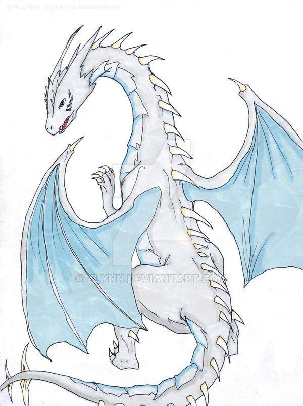 600x803 Commish - Ice Dragon Drawing