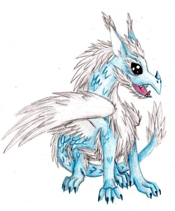 600x725 Ice Dragon - Ice Dragon Drawing