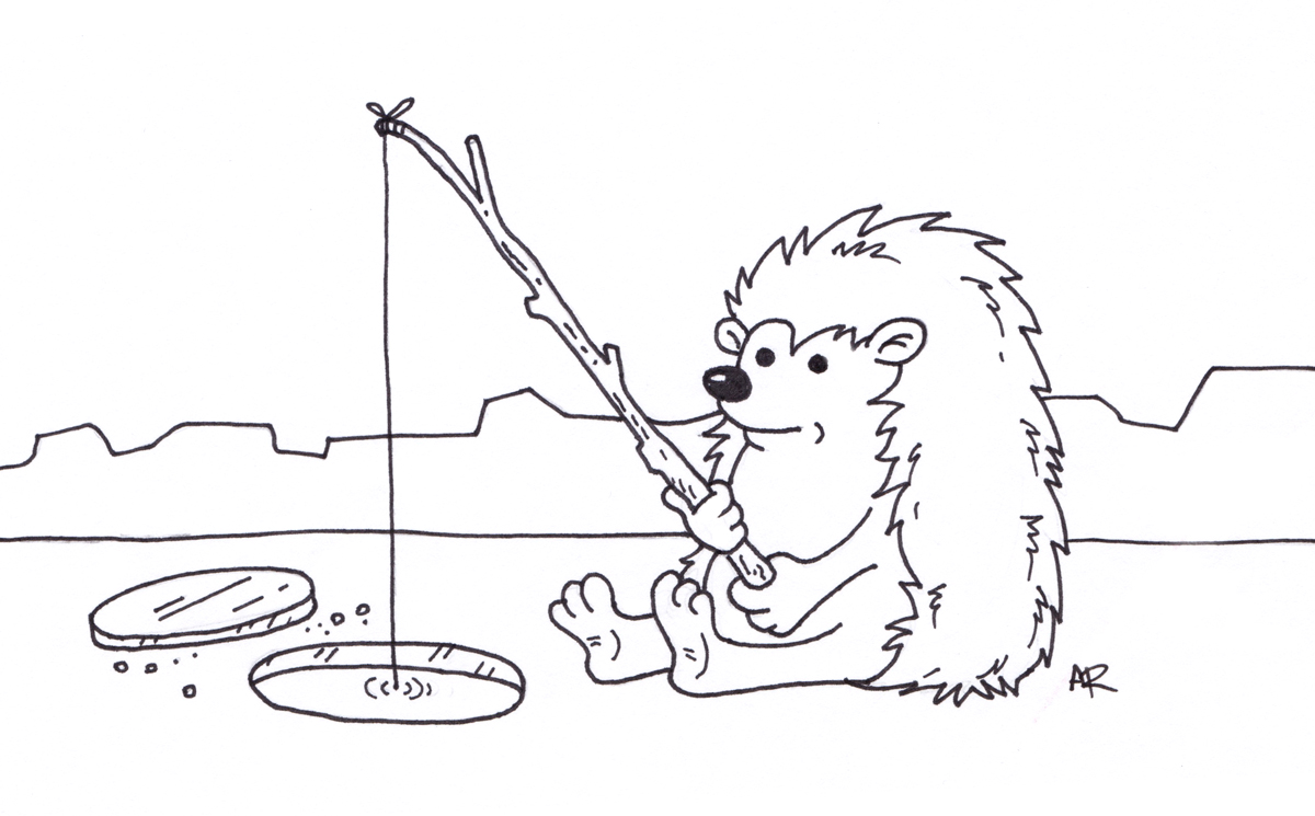 1200x745 Hedgehog Ice Fishing - Ice Fishing Drawing