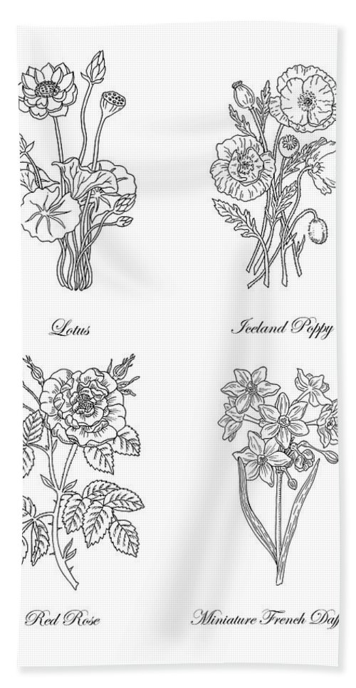 500x967 lotus iceland poppy red rose daffodils drawing beach towel - Iceland Drawing