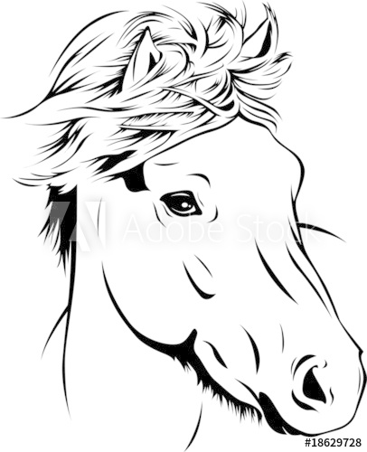 406x500 icelandic horse - Icelandic Horse Drawing