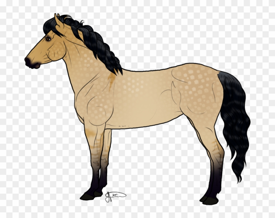 880x698 icelandic horse clipart - Icelandic Horse Drawing