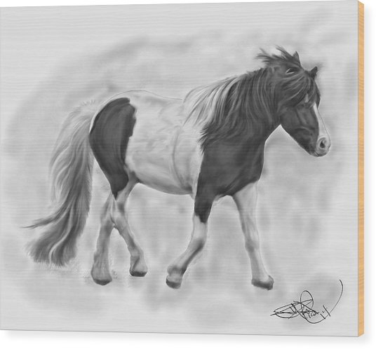 536x498 icelandic horse digital art - Icelandic Horse Drawing