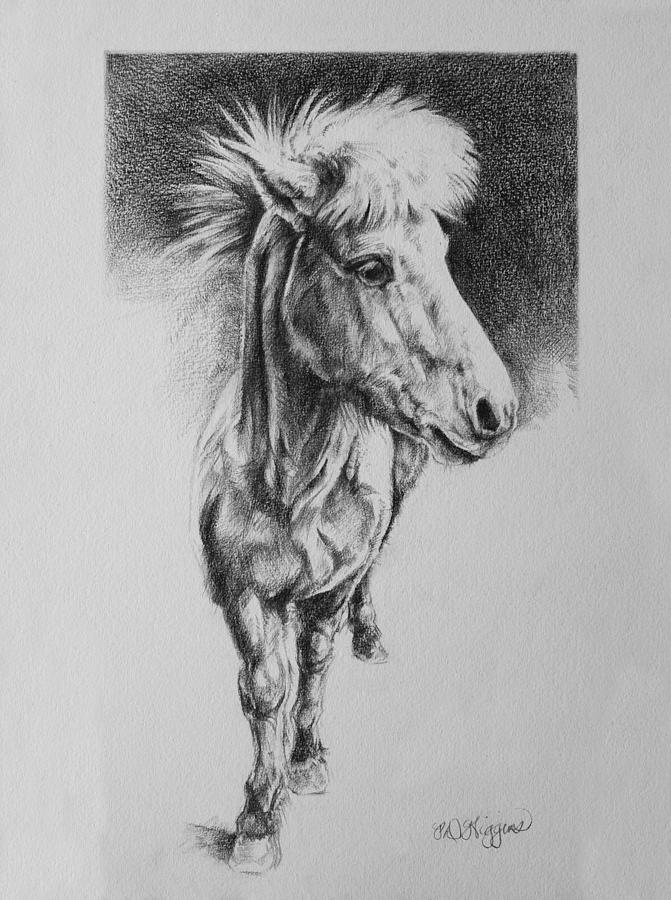 671x900 icelandic horse drawing - Icelandic Horse Drawing