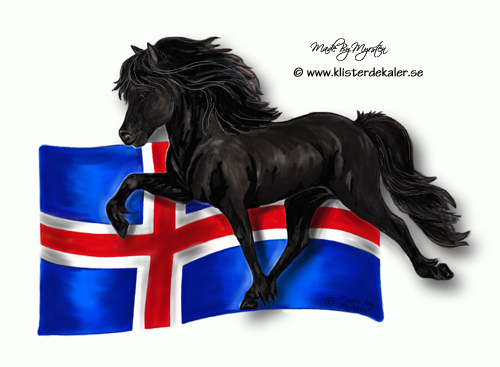 500x367 icelandic horse iceland flag - Icelandic Horse Drawing