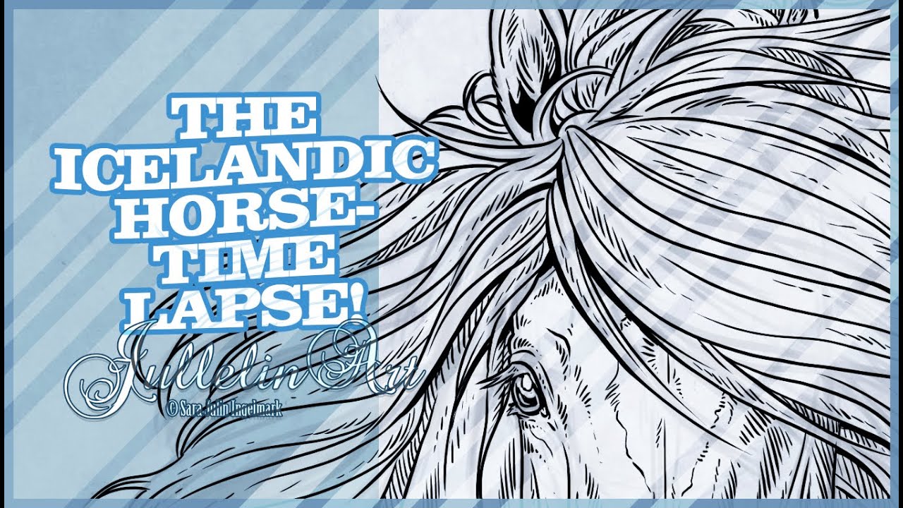 1280x720 the icelandic horse - Icelandic Horse Drawing