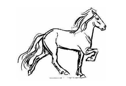 437x299 icelandic horse tattoo - Icelandic Horse Drawing