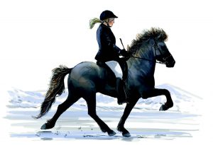 300x205 pony princeton university press blog - Icelandic Horse Drawing