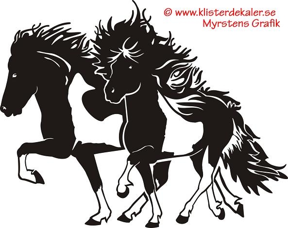 593x470 double icelandic horse - Icelandic Horse Drawing